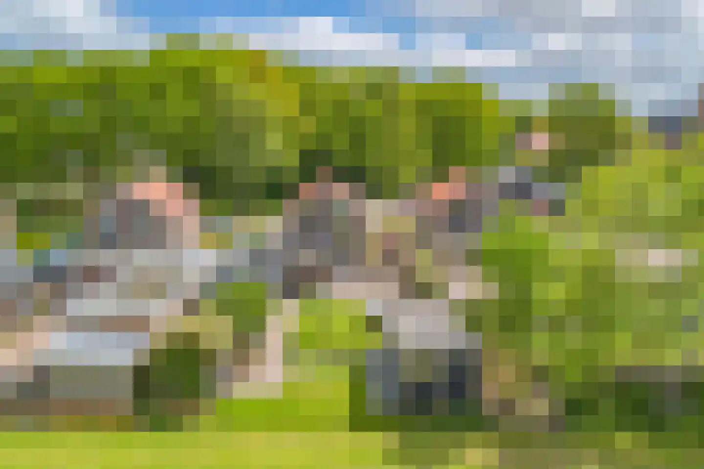 Tsjerkeleane 9 Langezwaag thumbnail 54