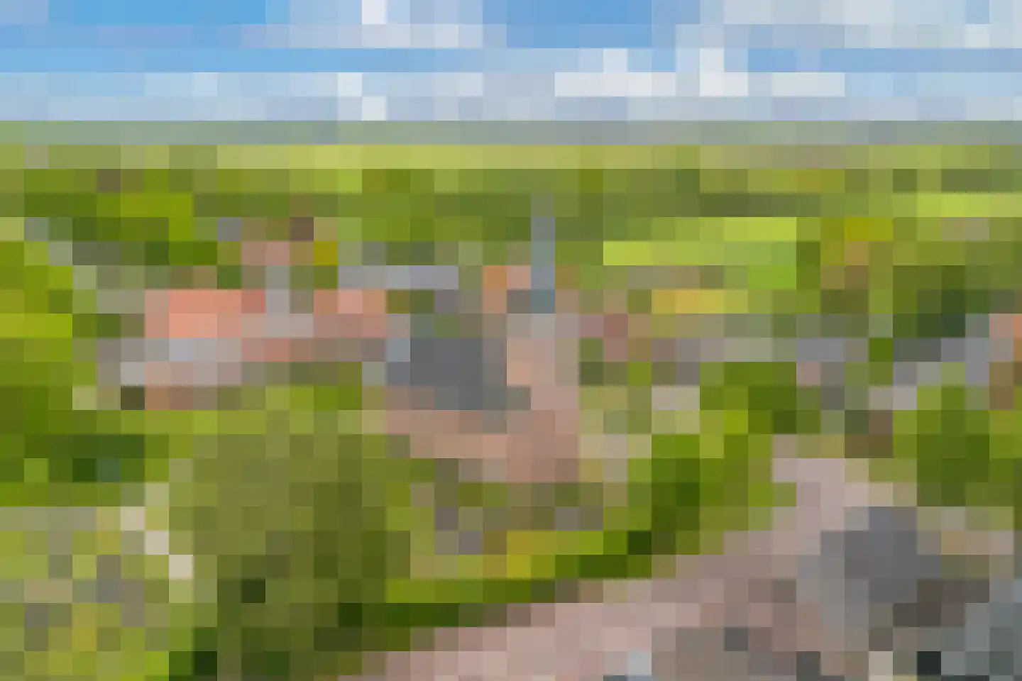 Tsjerkeleane 9 Langezwaag thumbnail 56