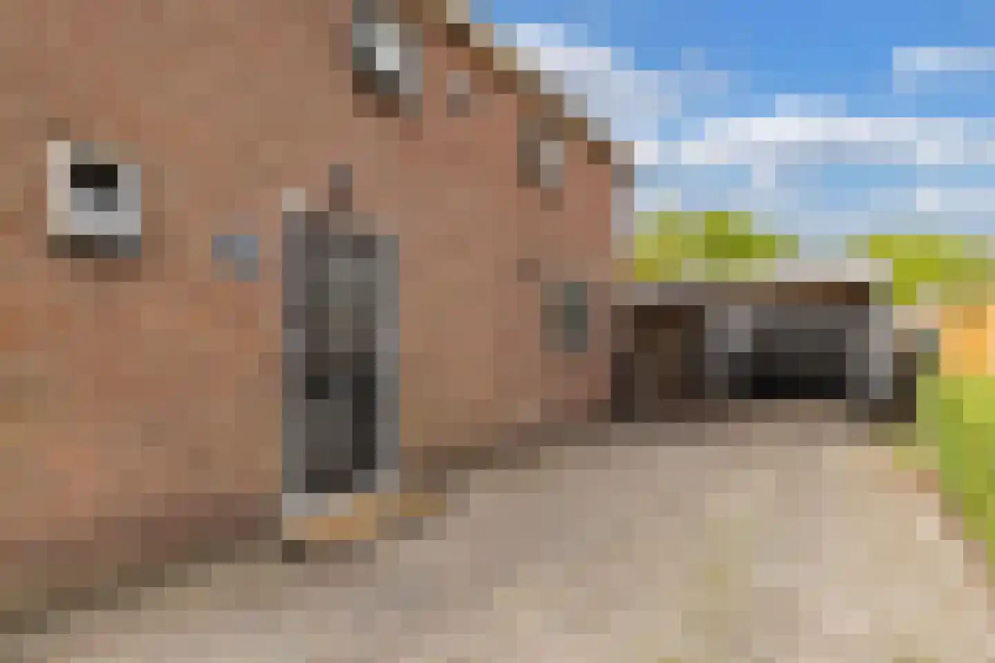 Tsjerkeleane 9 Langezwaag thumbnail 9
