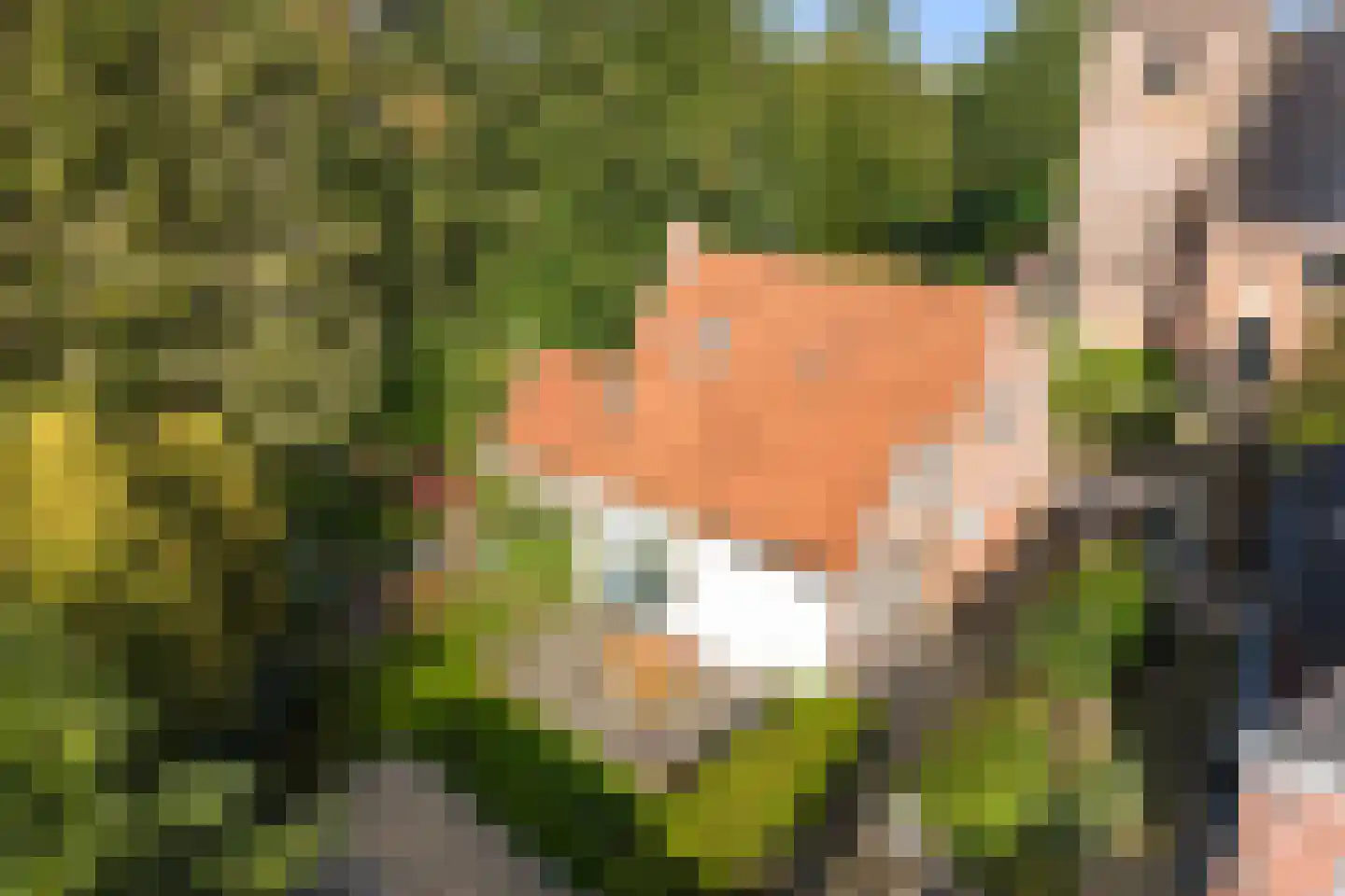 Tsjerkepaad 2 Ingwierrum
