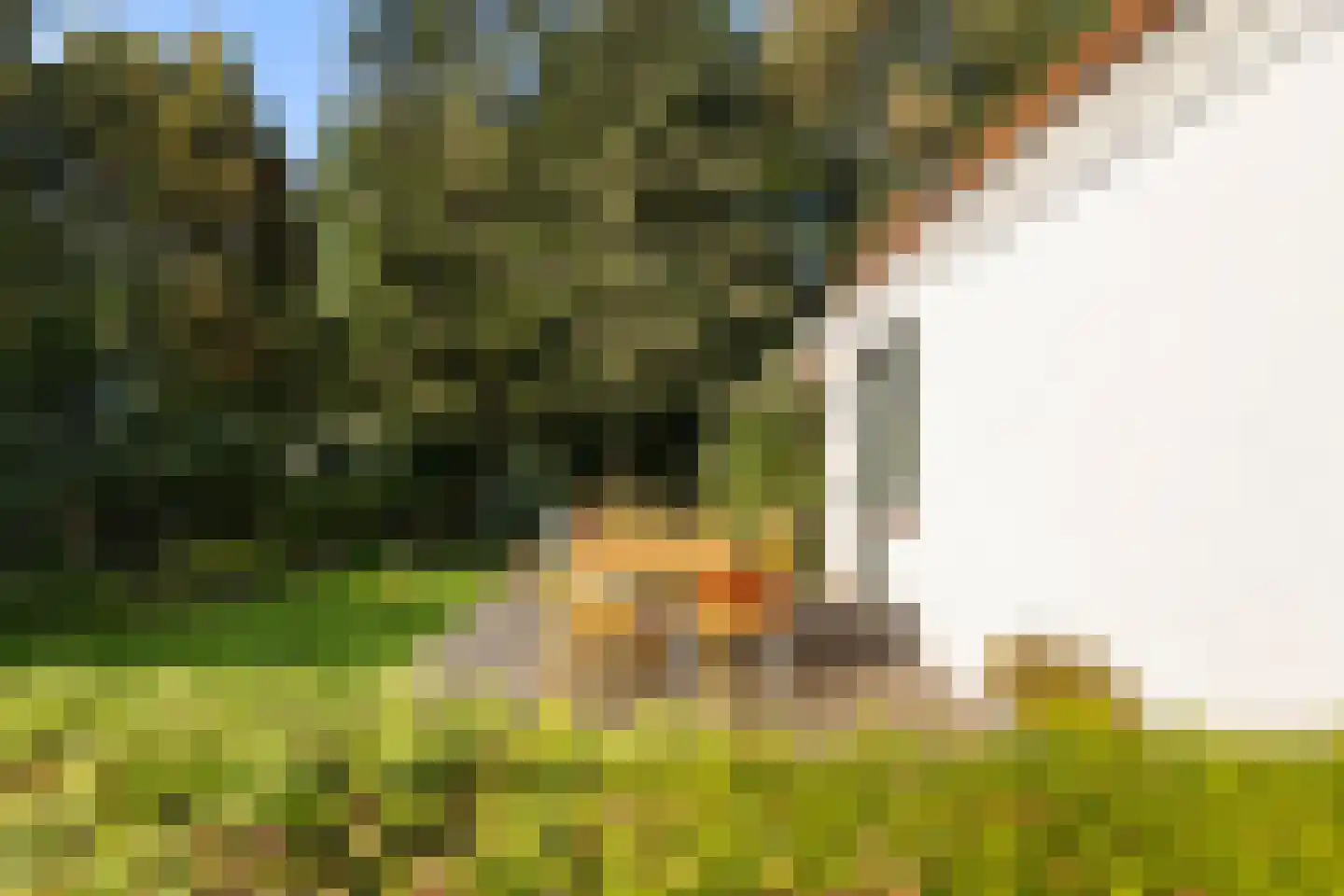 Tsjerkepaad 2 Ingwierrum thumbnail 26