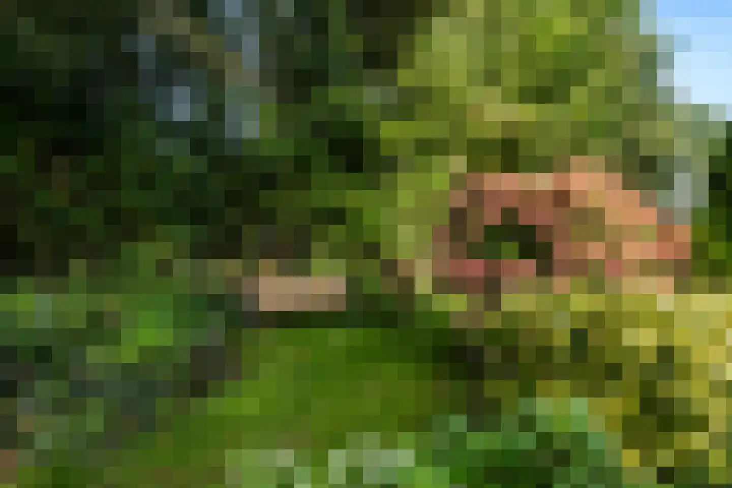 Tsjerkepaad 2 Ingwierrum thumbnail 31