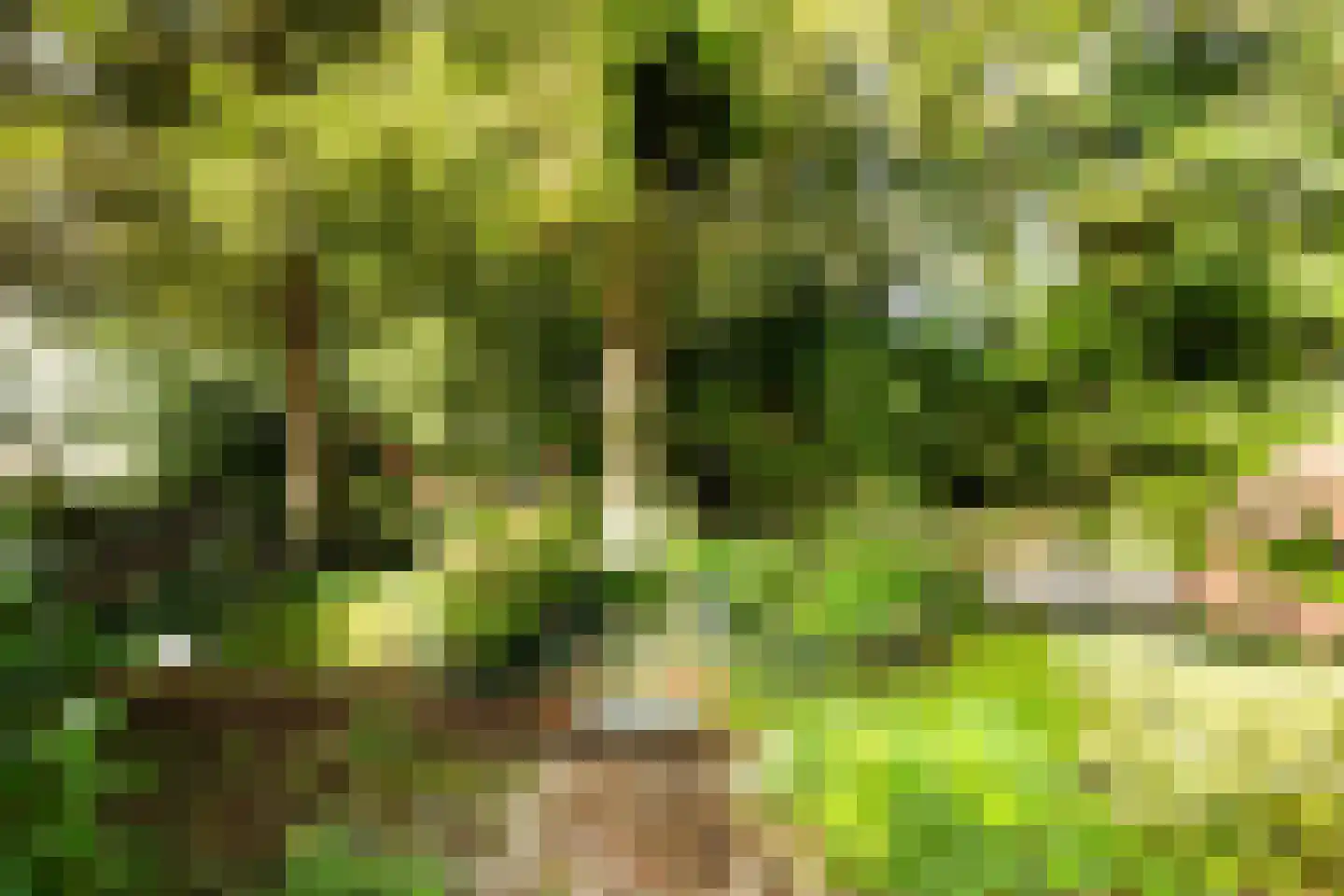 Tsjerkepaad 2 Ingwierrum thumbnail 32