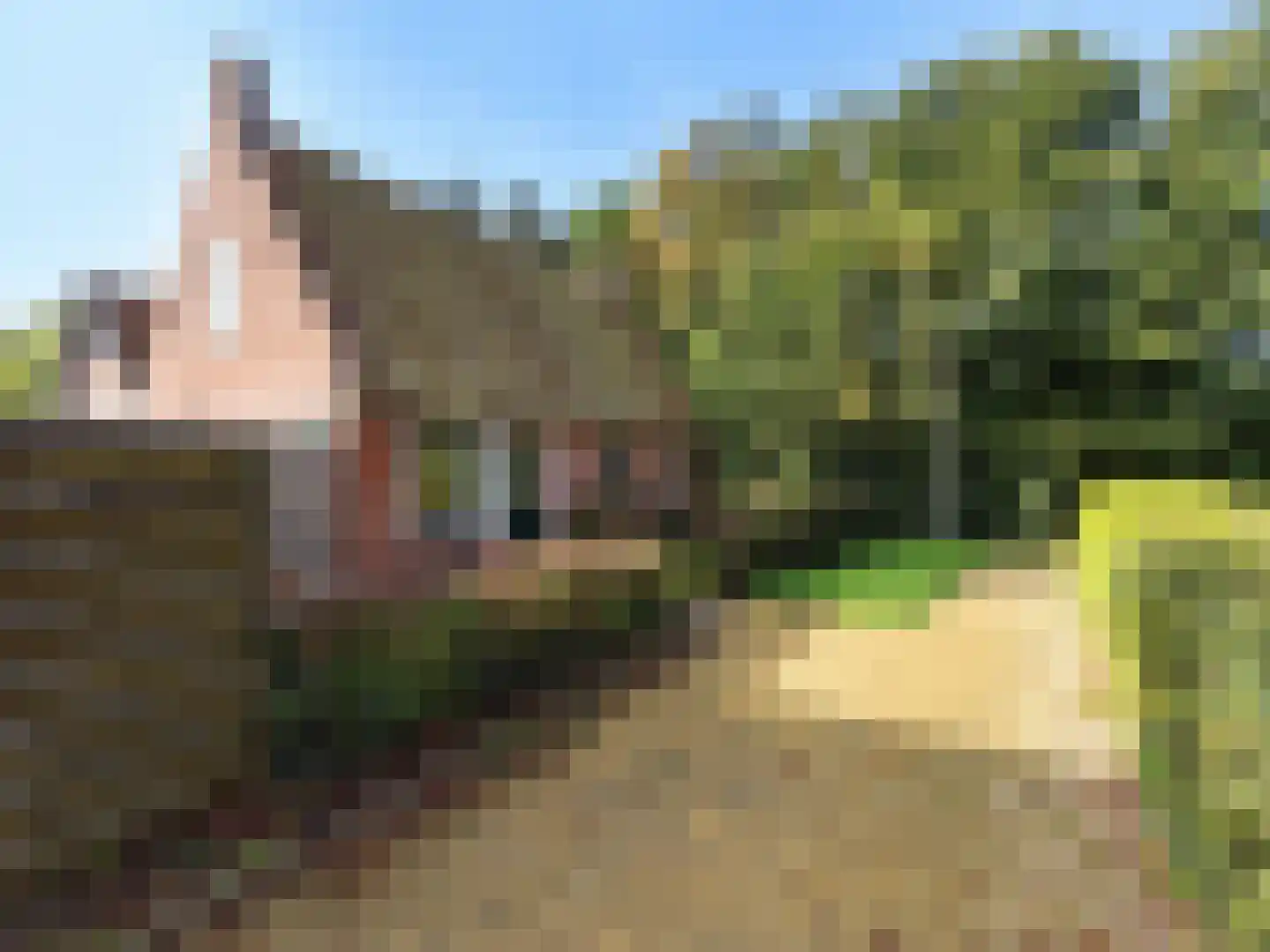 Tsjerkepaad 2 Ingwierrum thumbnail 5