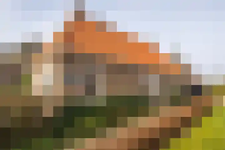 Tsjerkepaad 2 Nijewier thumbnail 14