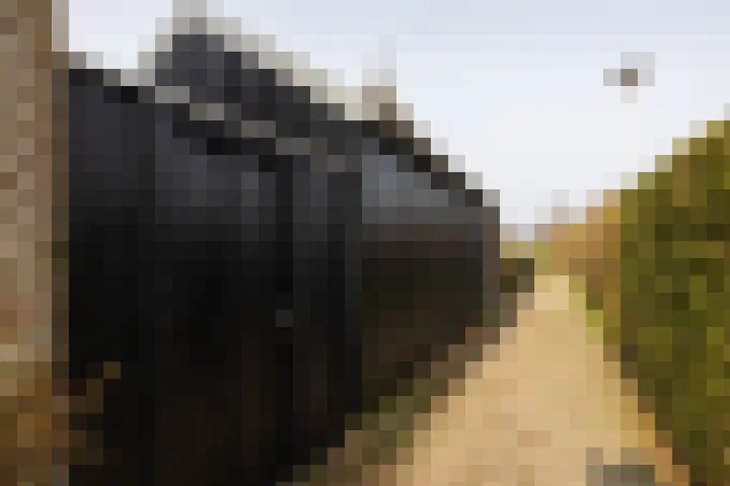 Tsjerkepaad 2 Nijewier thumbnail 16