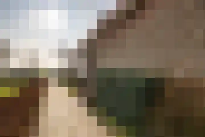 Tsjerkepaad 2 Nijewier thumbnail 17