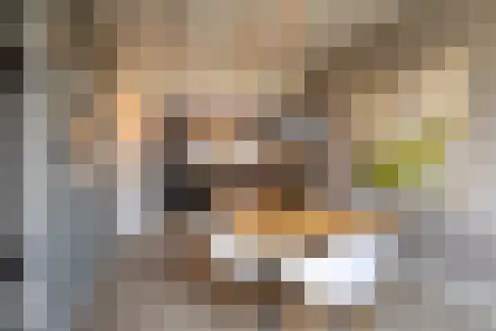 Tsjerkepaad 2 Nijewier thumbnail 23