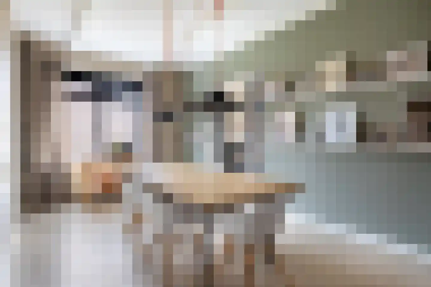 Tsjerkepaad 2 Nijewier thumbnail 24