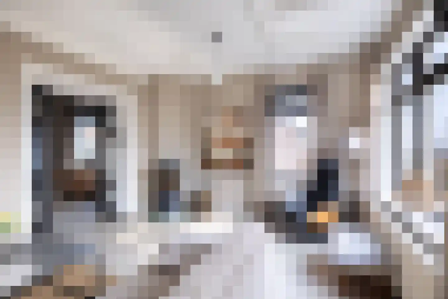 Tsjerkepaad 2 Nijewier thumbnail 37