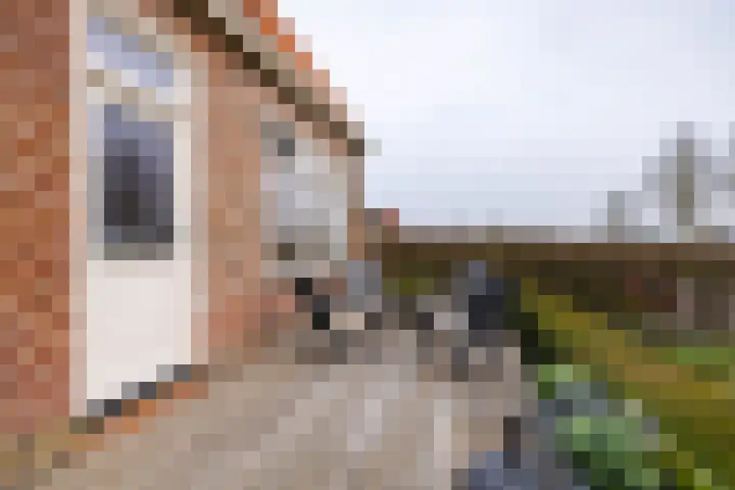 Tsjerkepaad 2 Nijewier thumbnail 40