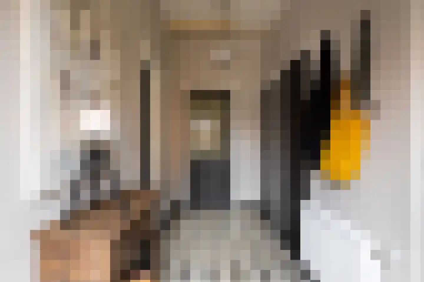 Tsjerkepaad 2 Nijewier thumbnail 45