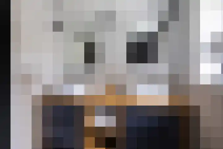 Tsjerkepaad 2 Nijewier thumbnail 47