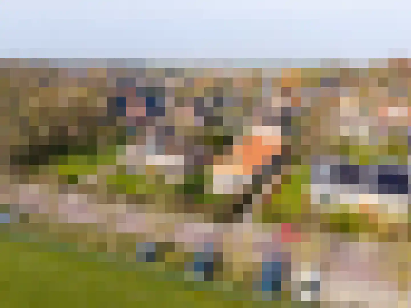 Tsjerkepaad 2 Nijewier thumbnail 6