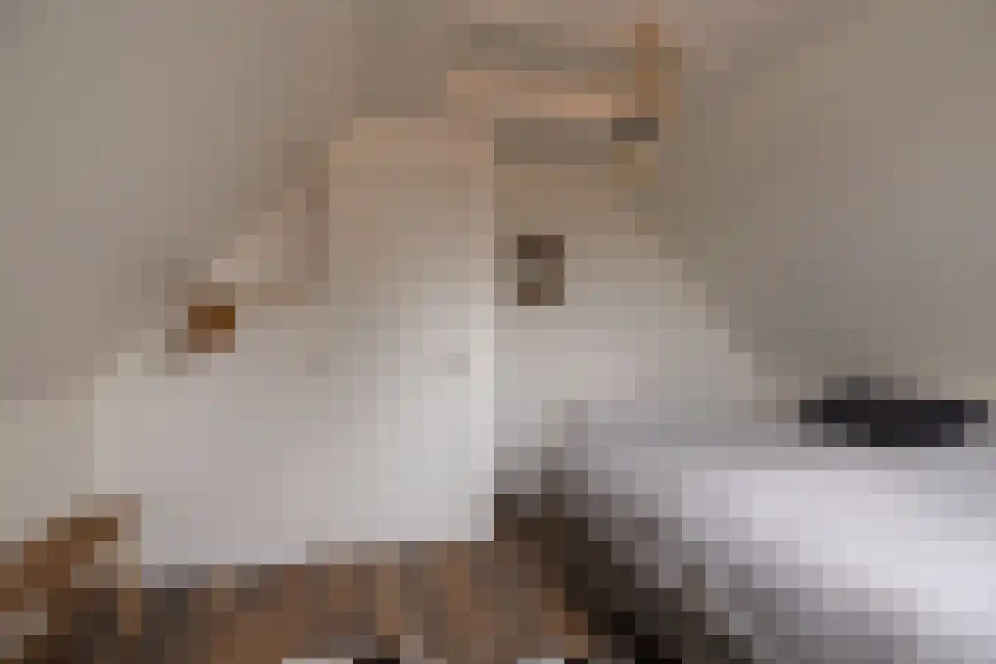 Tsjerkepaad 2 Nijewier thumbnail 60