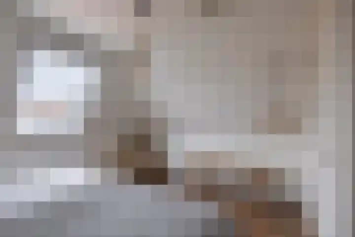 Tsjerkepaad 2 Nijewier thumbnail 61