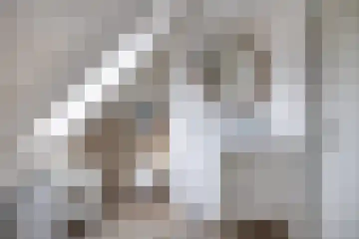 Tsjerkepaad 2 Nijewier thumbnail 62