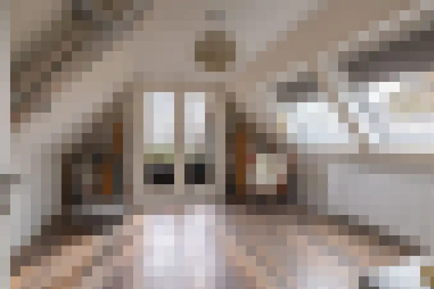 Tsjerkepaad 2 Nijewier thumbnail 64