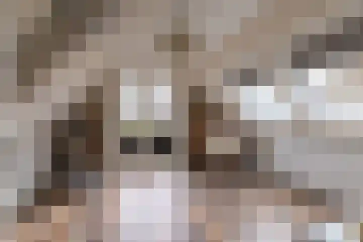 Tsjerkepaad 2 Nijewier thumbnail 64