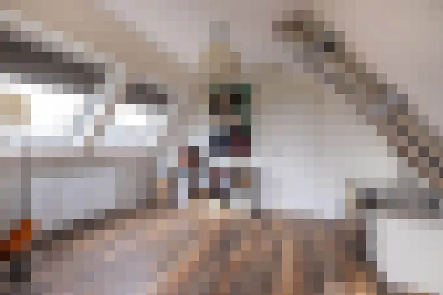 Tsjerkepaad 2 Nijewier thumbnail 65