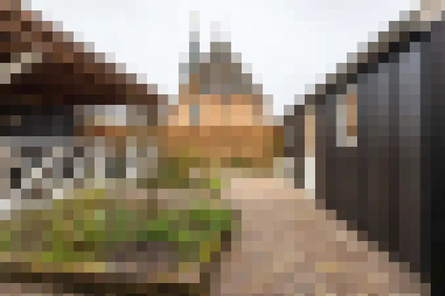 Tsjerkepaad 2 Nijewier thumbnail 68