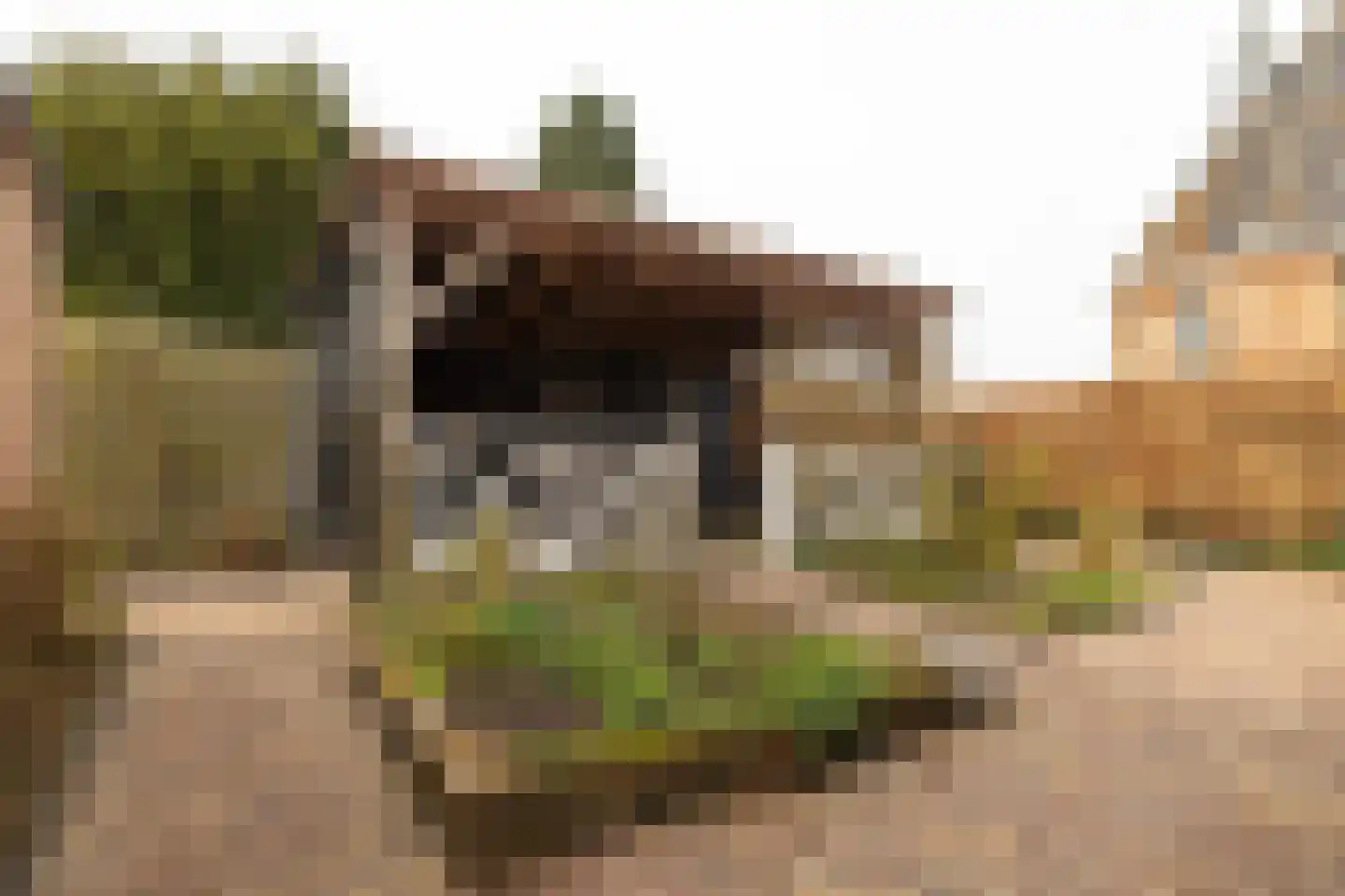 Tsjerkepaad 2 Nijewier thumbnail 69
