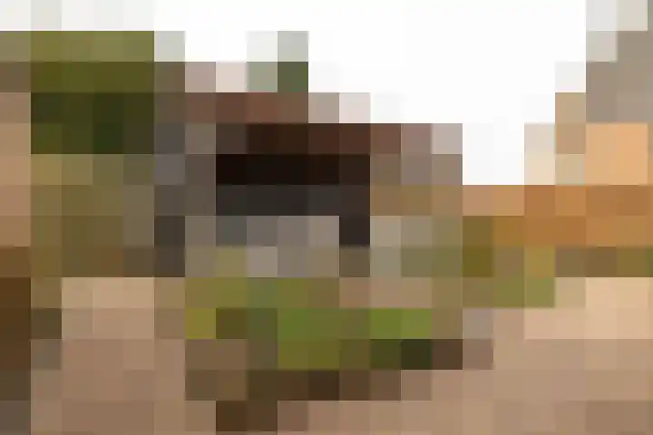 Tsjerkepaad 2 Nijewier thumbnail 69