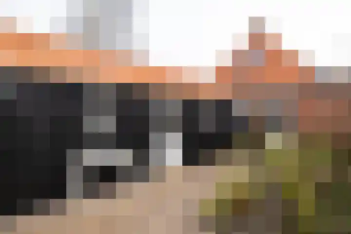 Tsjerkepaad 2 Nijewier thumbnail 71