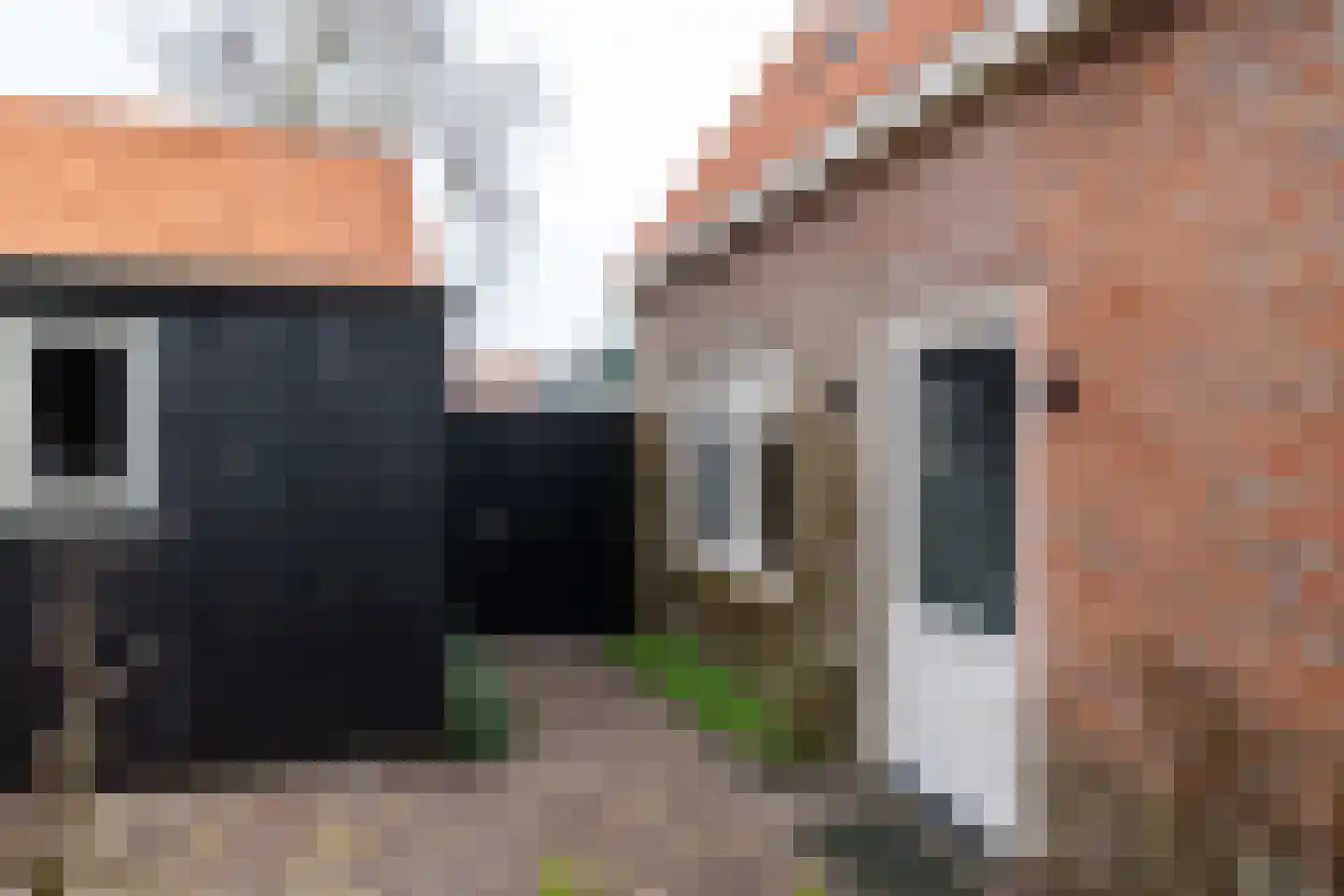 Tsjerkepaad 2 Nijewier thumbnail 74