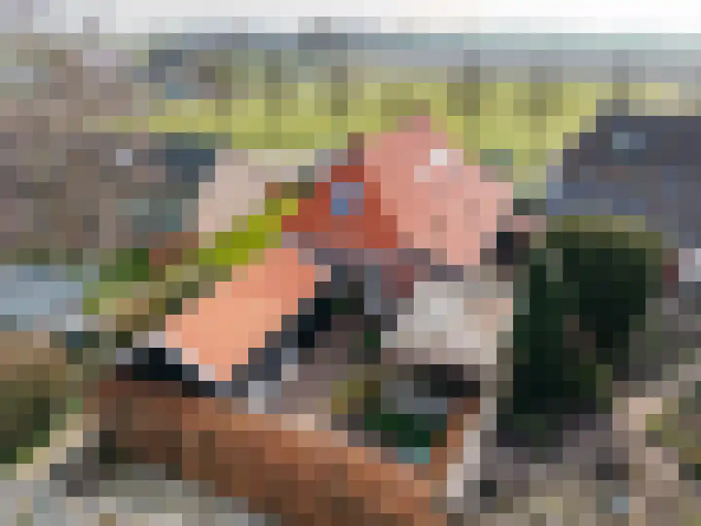 Tsjerkepaad 2 Nijewier thumbnail 76