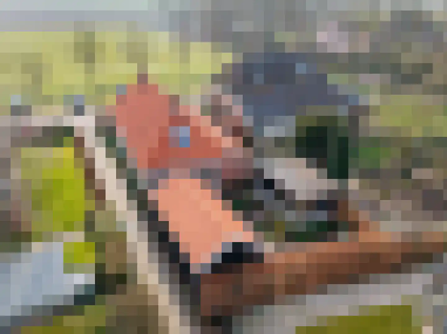 Tsjerkepaad 2 Nijewier thumbnail 77