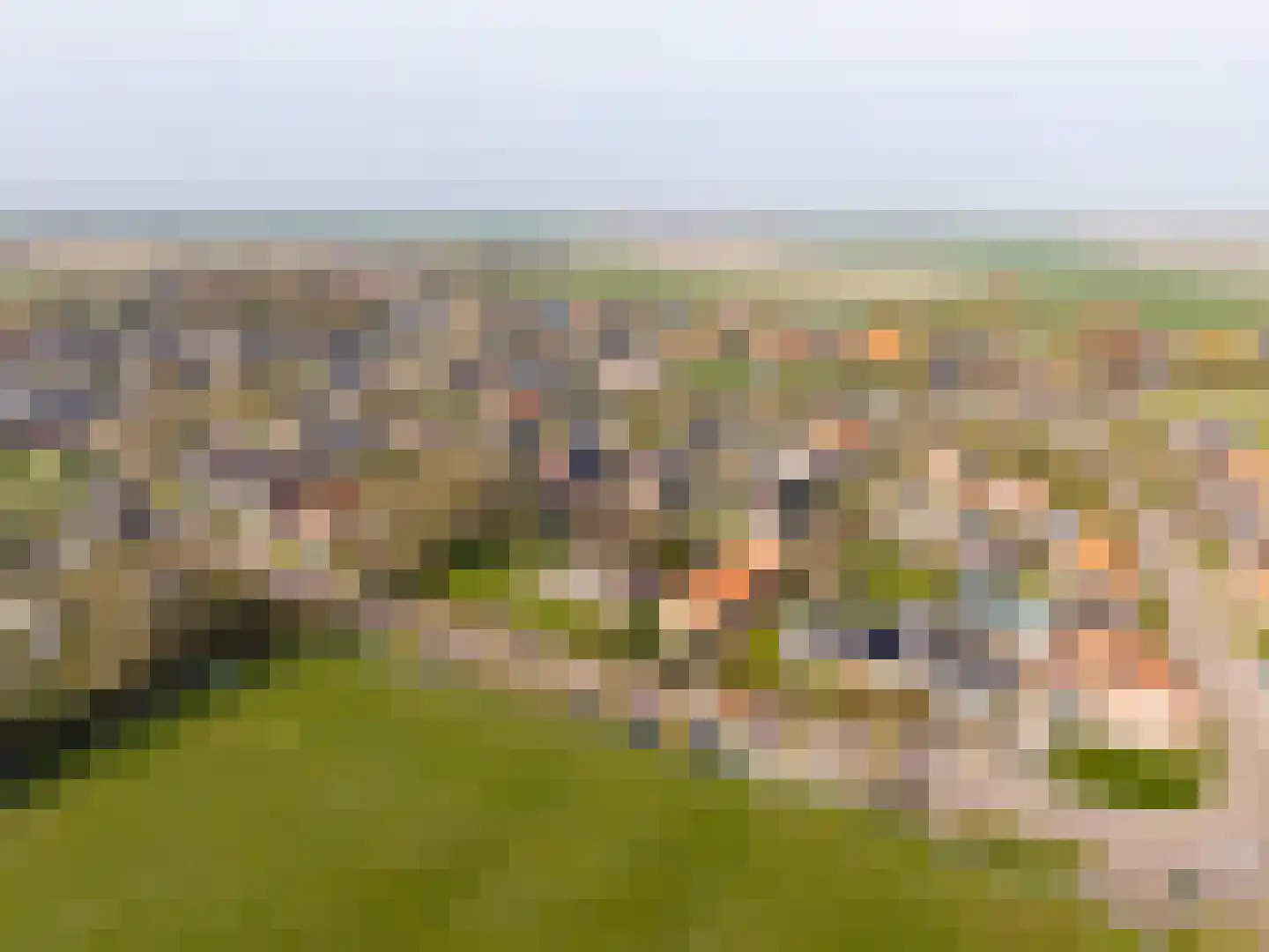 Tsjerkepaad 2 Nijewier thumbnail 78