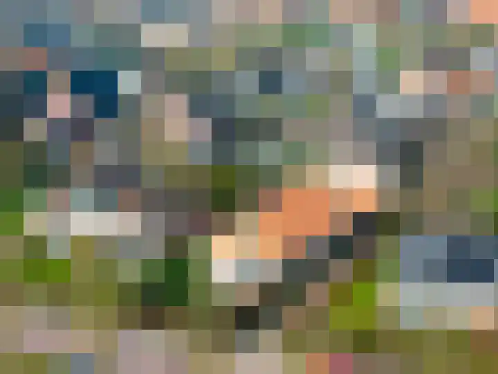 Tsjerkepaad 2 Nijewier thumbnail 9