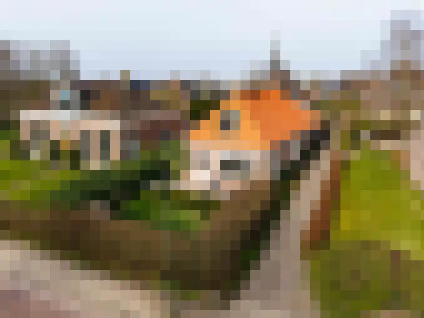 Tsjerkepaad 2 Nijewier thumbnail 91