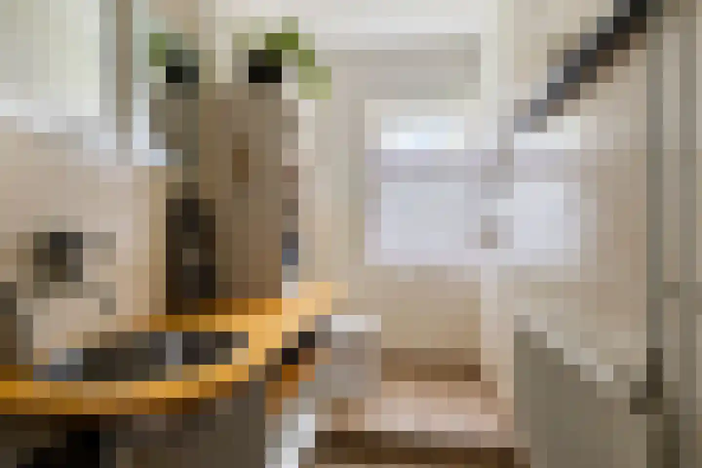 Tsjerkepaad 4 Feanwâlden thumbnail 15