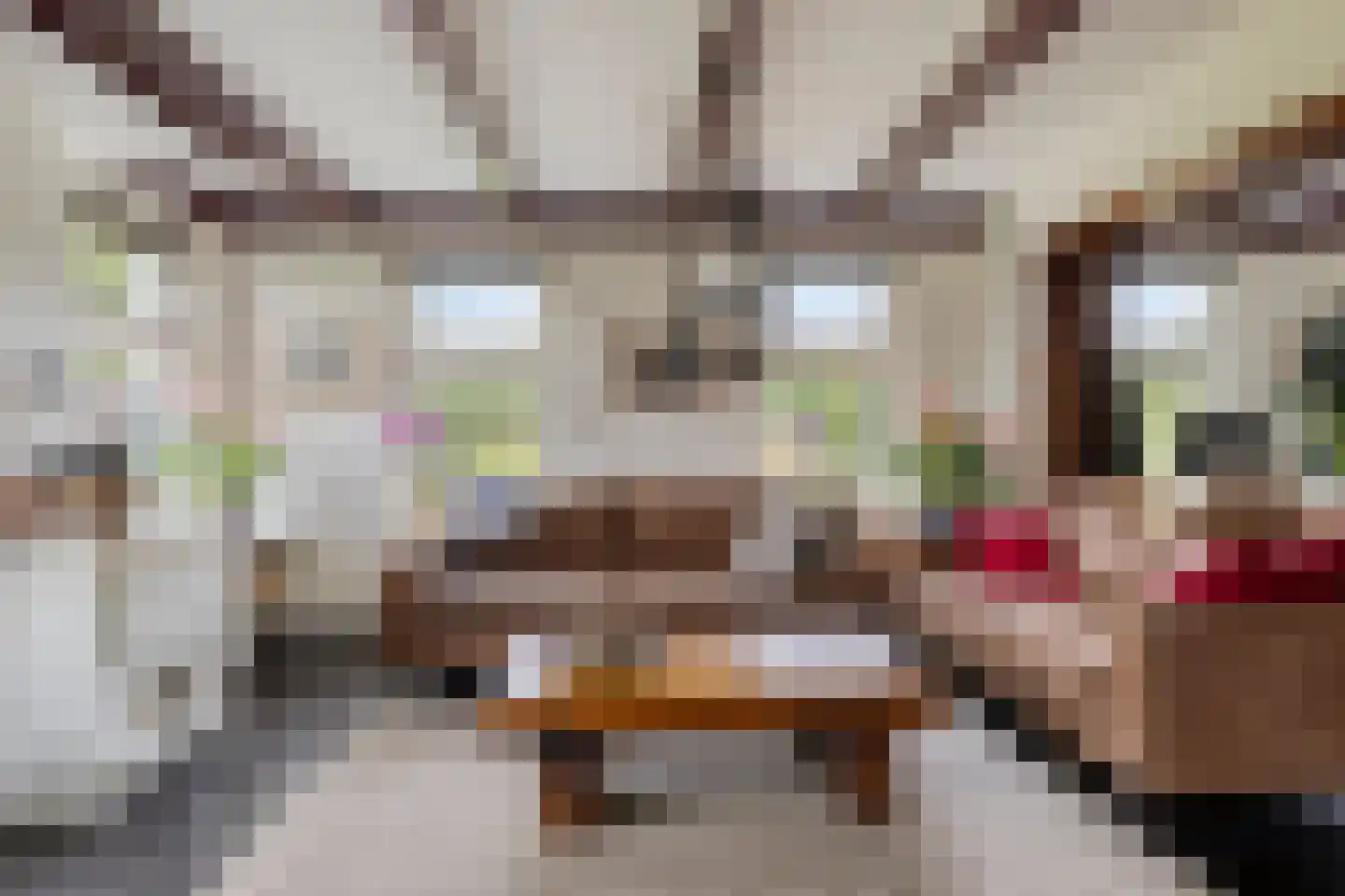 Tsjerkepaad 4 Feanwâlden thumbnail 20