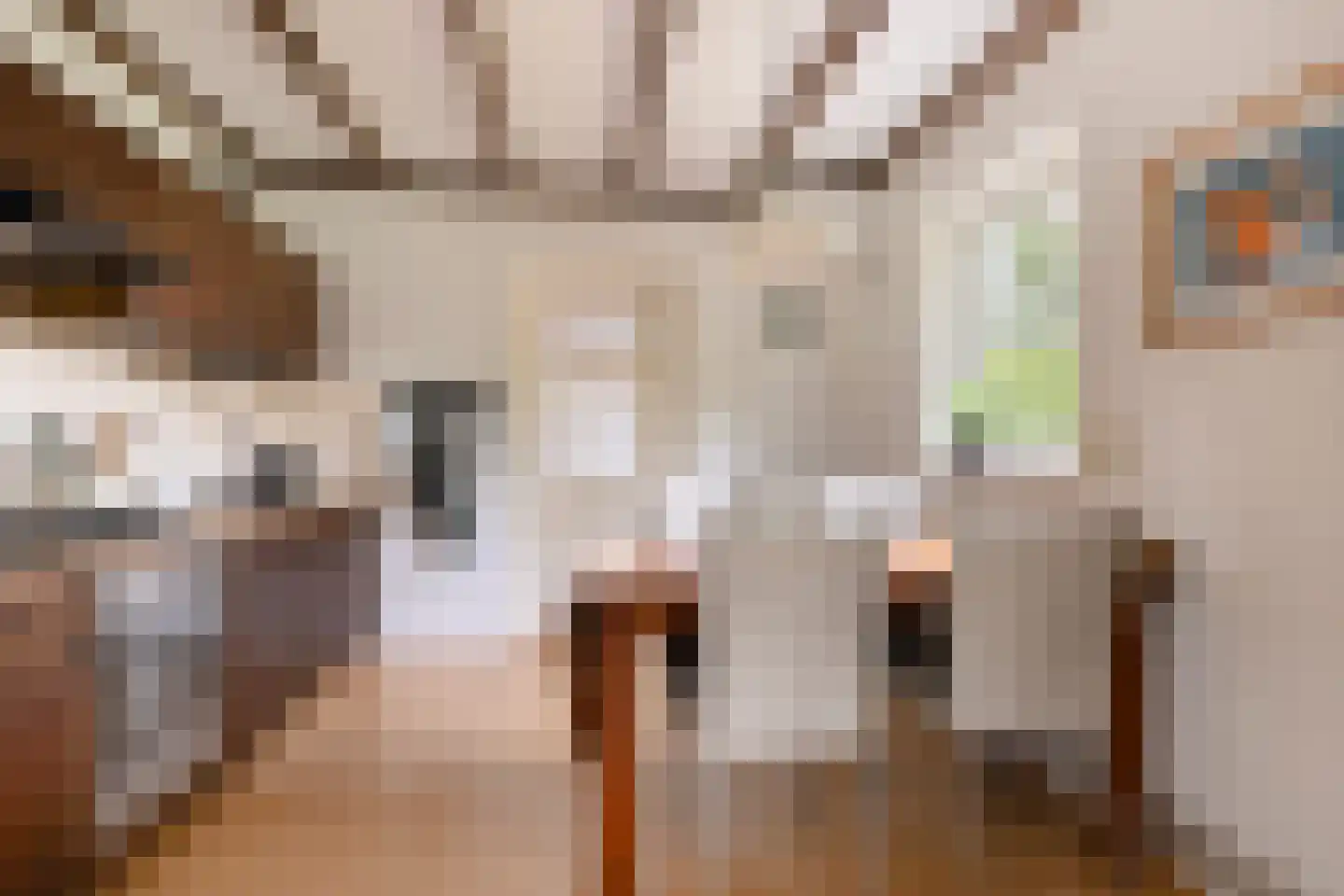 Tsjerkepaad 4 Feanwâlden thumbnail 23