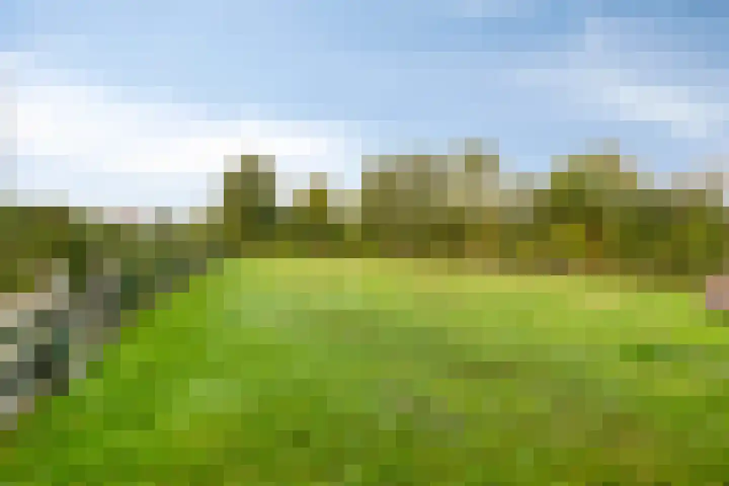 Tsjerkepaad 4 Feanwâlden foto 3