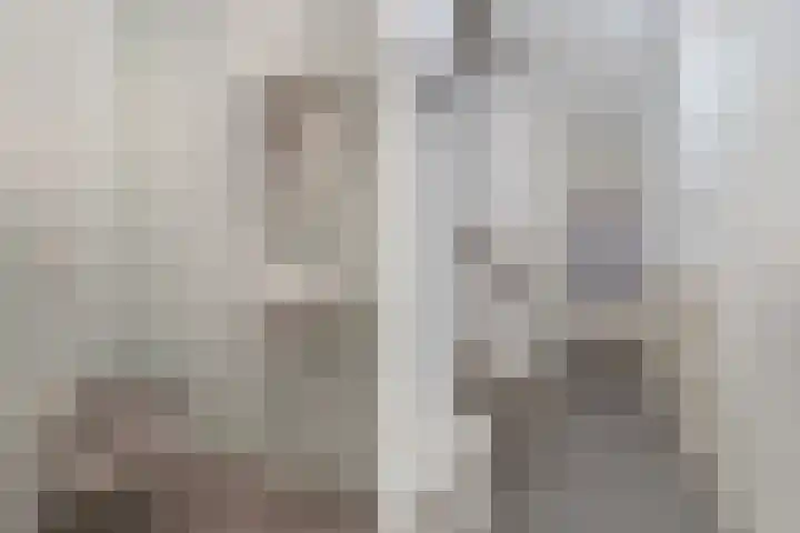 Tsjerkepaad 5 Koudum thumbnail 6