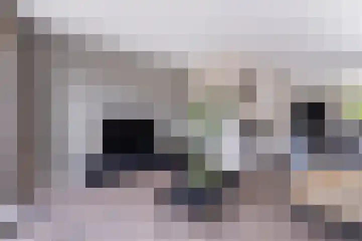Tsjerkepaed 2 A Wier thumbnail 16
