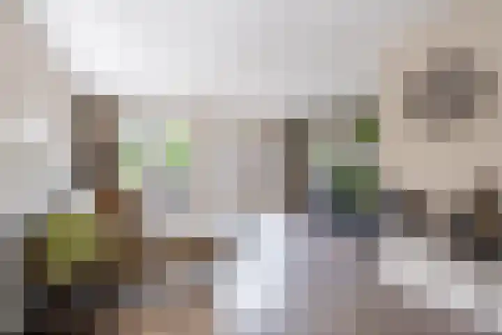 Tsjerkepaed 2 A Wier thumbnail 18