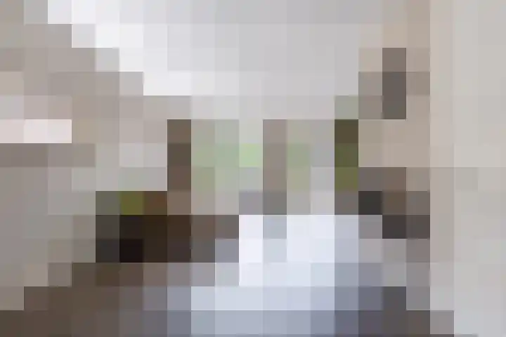 Tsjerkepaed 2 A Wier thumbnail 19