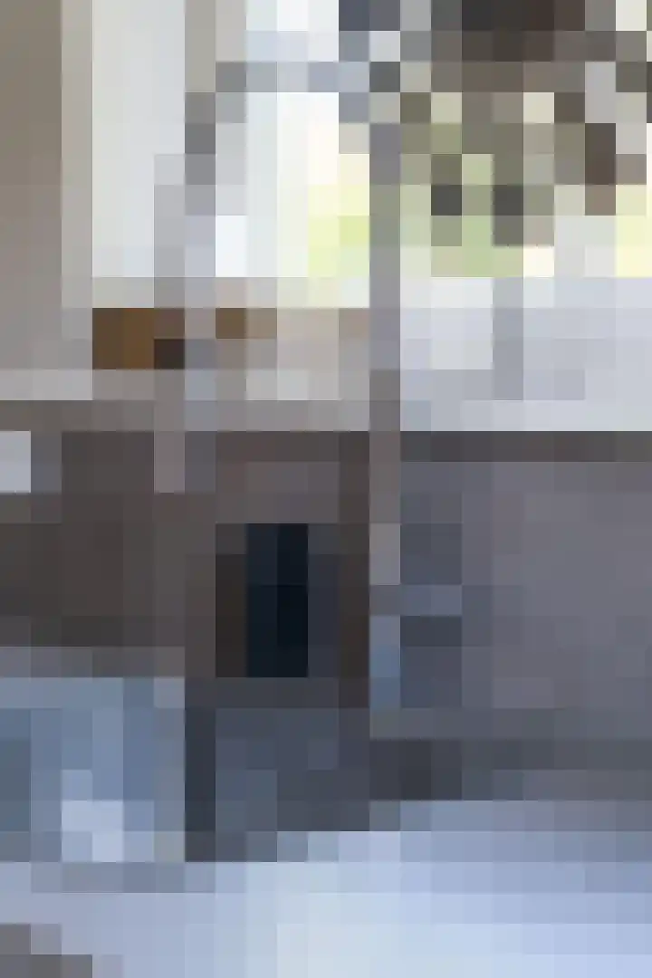 Tsjerkepaed 2 A Wier thumbnail 20