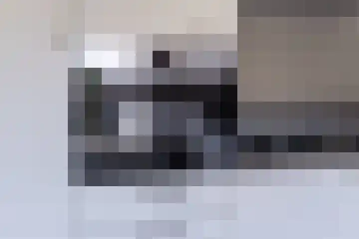 Tsjerkepaed 2 A Wier thumbnail 21