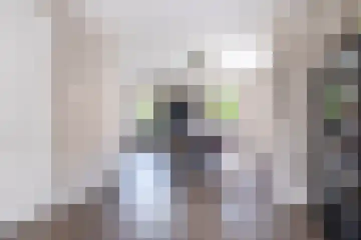Tsjerkepaed 2 A Wier thumbnail 28