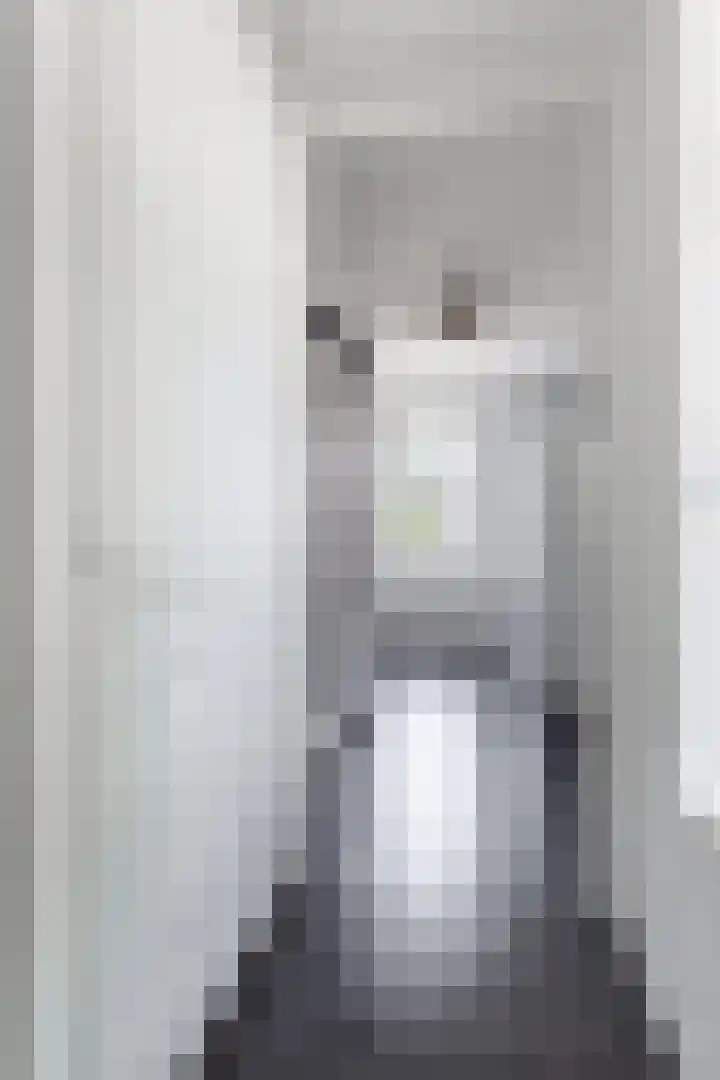 Tsjerkepaed 2 A Wier thumbnail 31