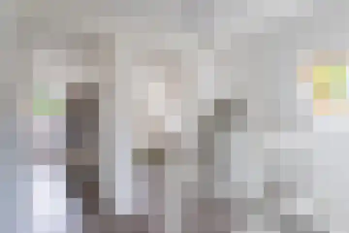 Tsjerkepaed 2 A Wier thumbnail 33