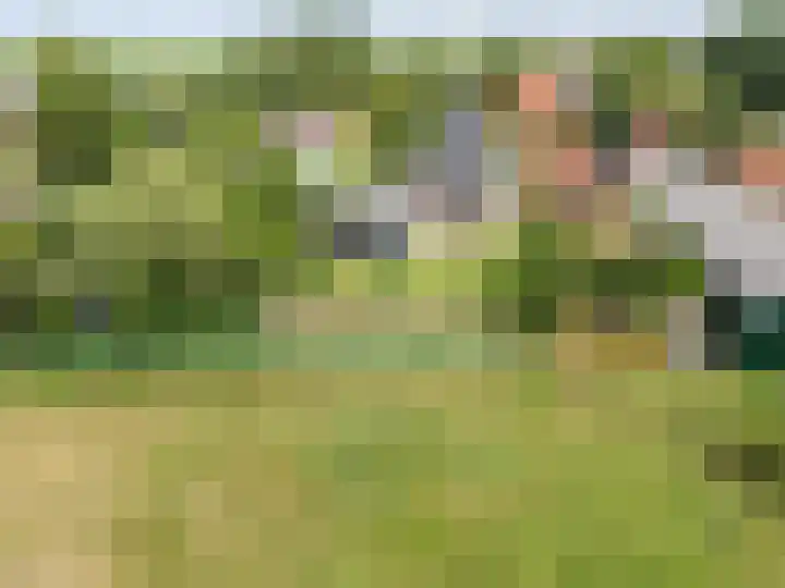 Tsjerkepaed 2 A Wier thumbnail 47