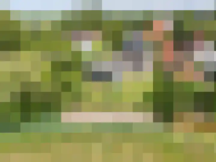 Tsjerkepaed 2 A Wier thumbnail 48