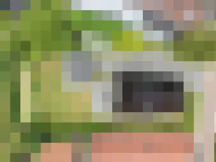 Tsjerkepaed 2 A Wier thumbnail 49